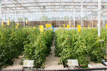 新建 DOC 文檔 (17)1882.png