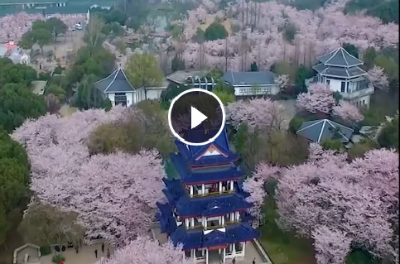 無錫市：風(fēng)勁揚(yáng)帆正當(dāng)時(shí)